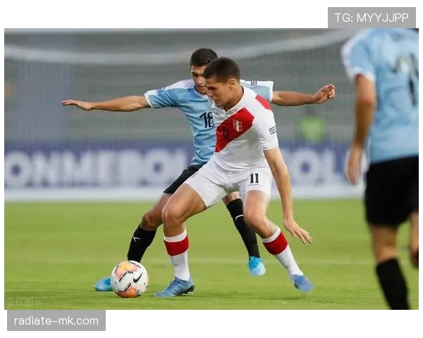 乌拉圭队战术执行 乌拉圭队战术执行