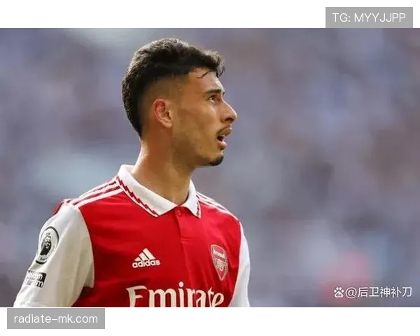 从潜力股到核心边锋：马丁内利的职业跃迁